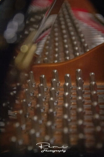 RVD 8384-